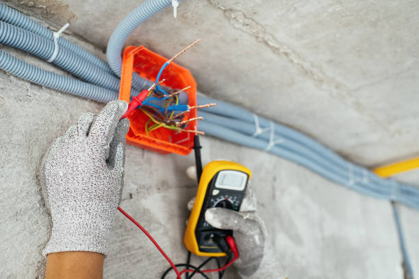 Best Electrical System Inspection  in Carnation, WA